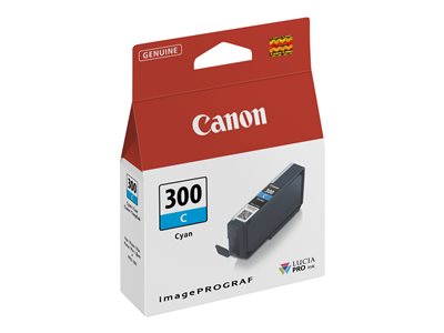 Obrazek Canon 300 4194C001 originální inkoustová kazeta