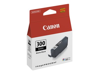 Obrazek Canon 300 4192C001 originální inkoustová kazeta