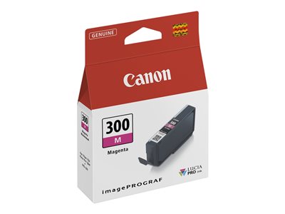 Obrazek Canon 300 4195C001 originální inkoustová kazeta